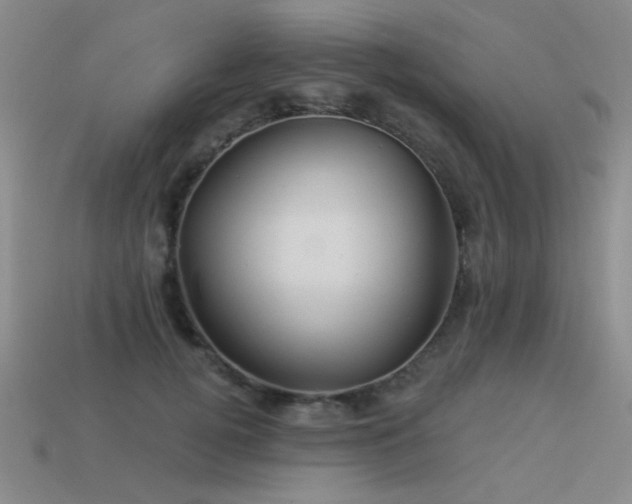 X0000113530752200909181134
