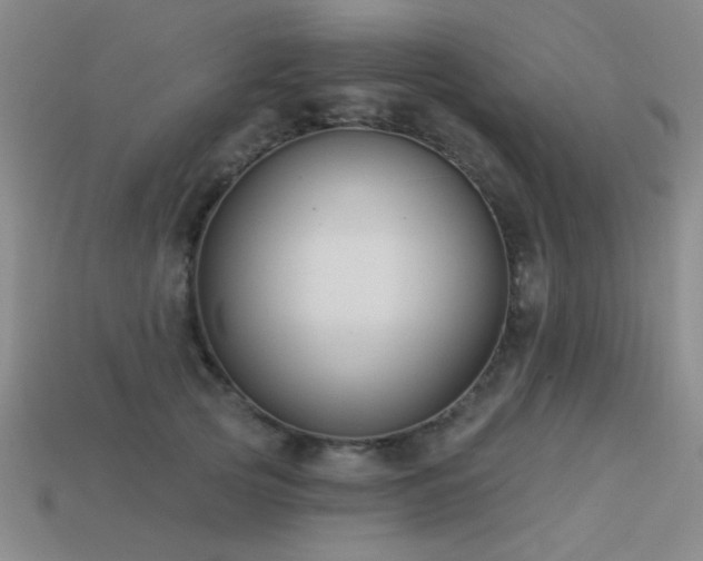 X0000113530753200909181134