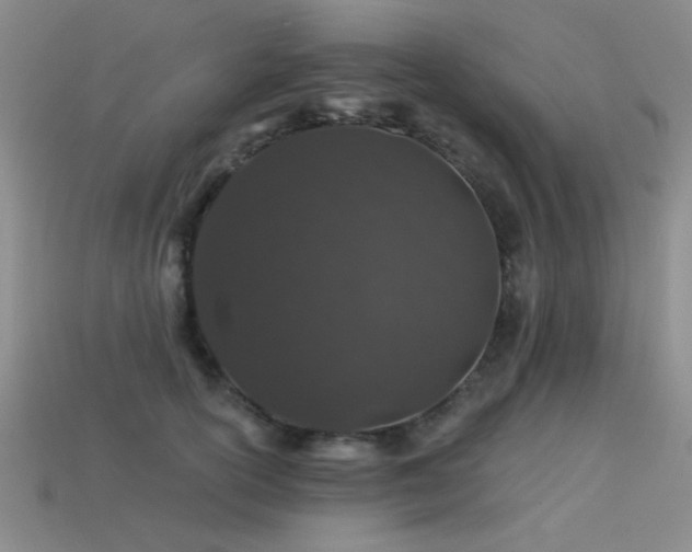 X0000113530754200909181134