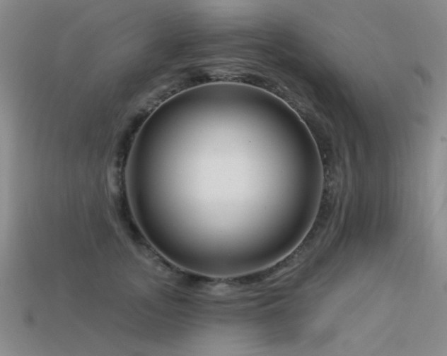 X0000113530755200909181134