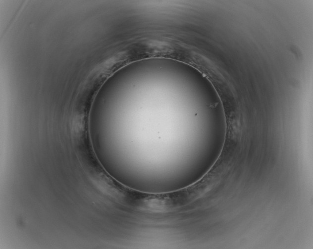 X0000113530756200909181134