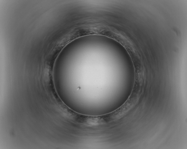 X0000113530757200909181134