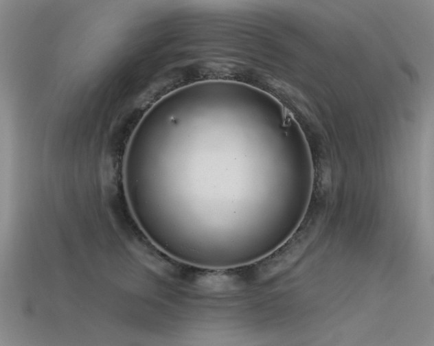 X0000113530759200909181134