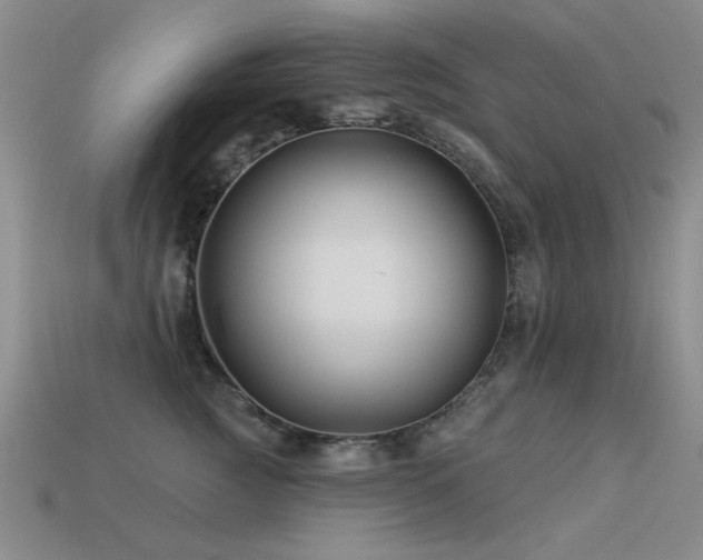 X0000113530761200909181134