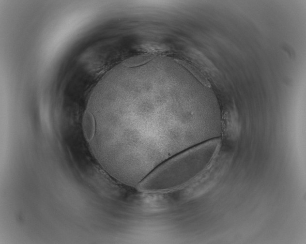 X0000113530762200909181135