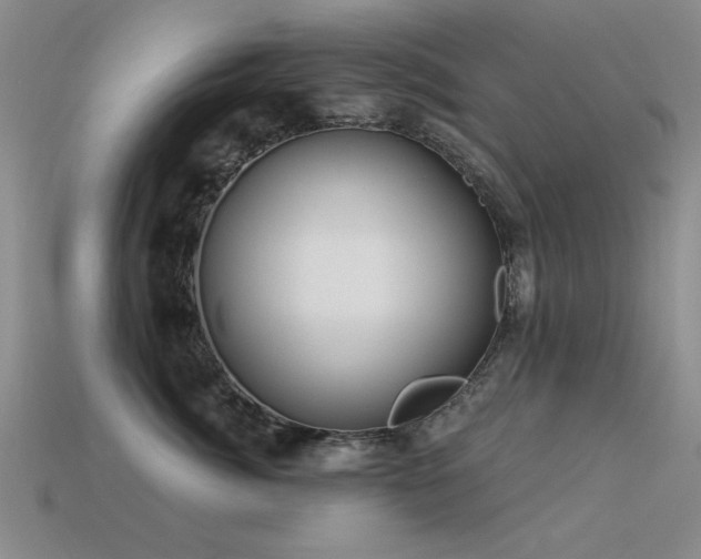 X0000113530764200909181135