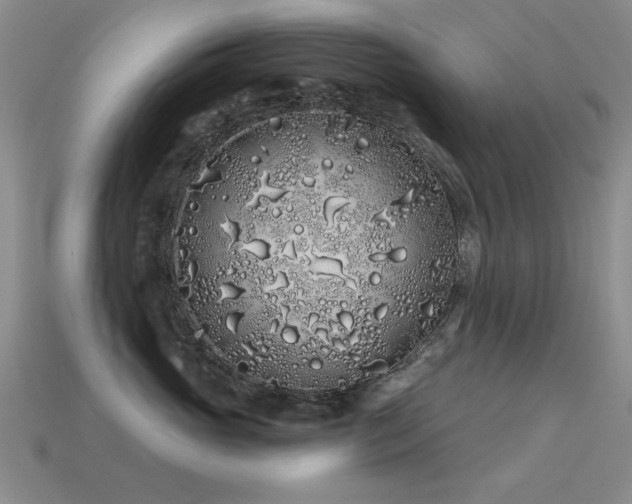X0000113530765200909181135