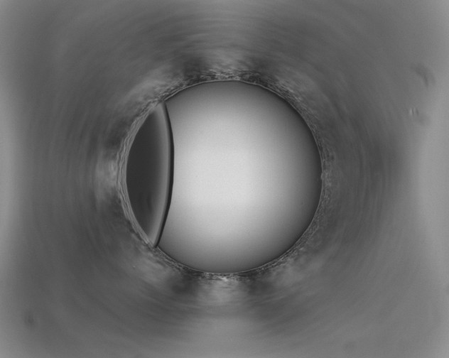 X0000113530768200909181135