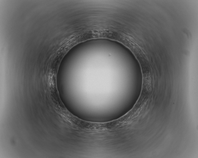 X0000113530770200909181134