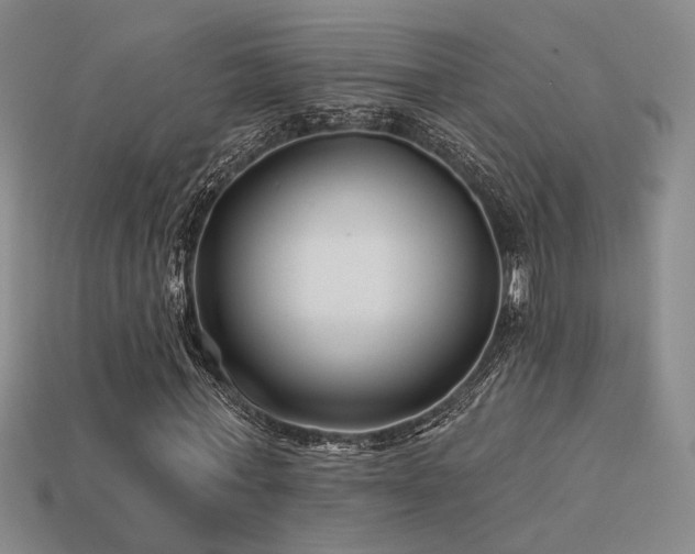 X0000113530771200909181134