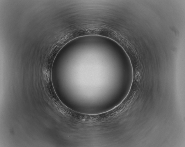 X0000113530772200909181134