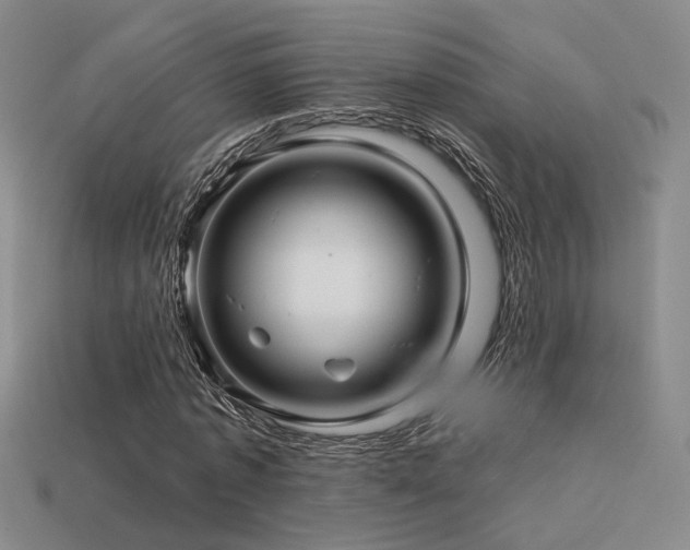 X0000113530773200909181134
