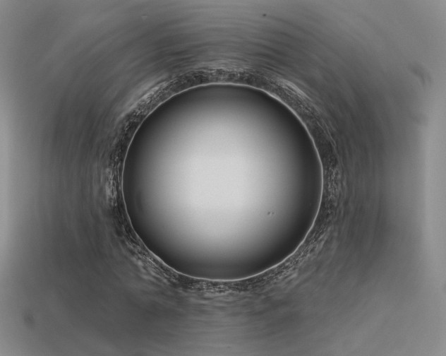 X0000113530774200909181134
