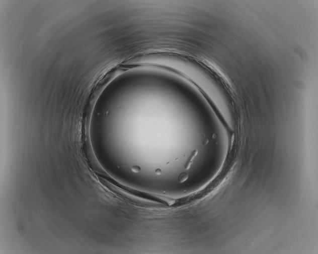 X0000113530777200909181134