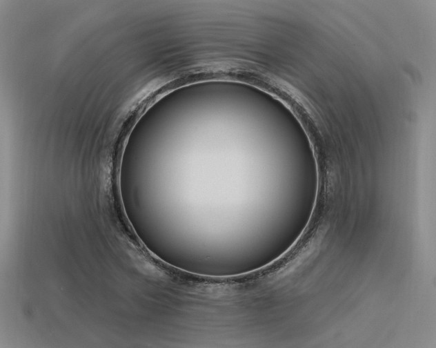 X0000113530778200909181134