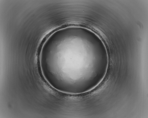 X0000113530779200909181134