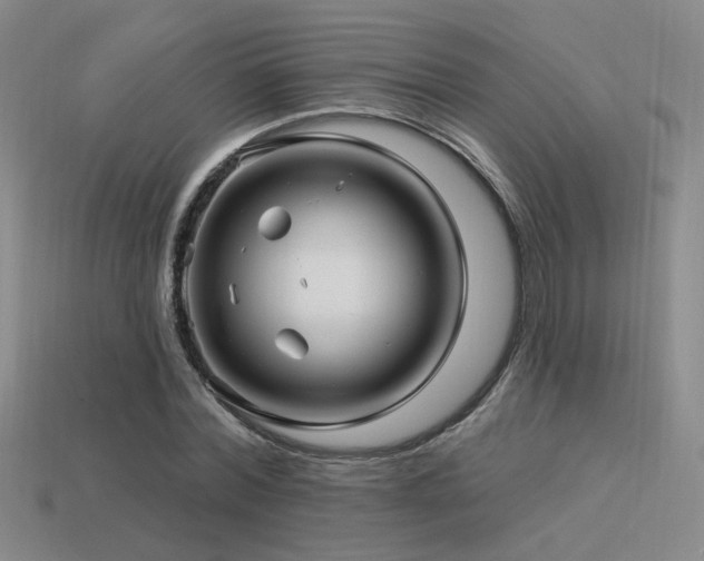 X0000113530780200909181134