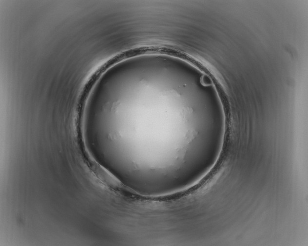 X0000113530783200909181134