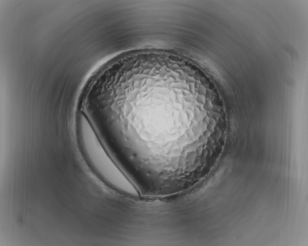X0000113530784200909181134