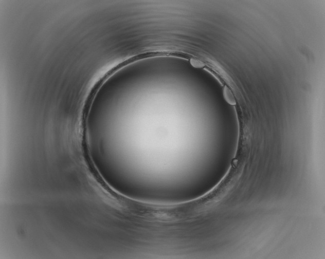 X0000113530787200909181134