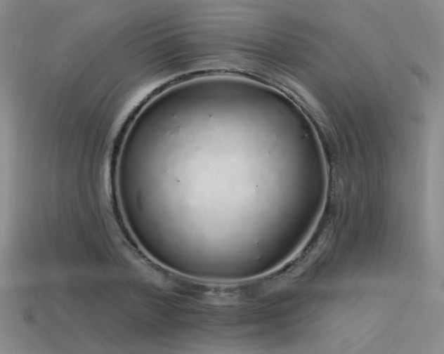 X0000113530788200909181134