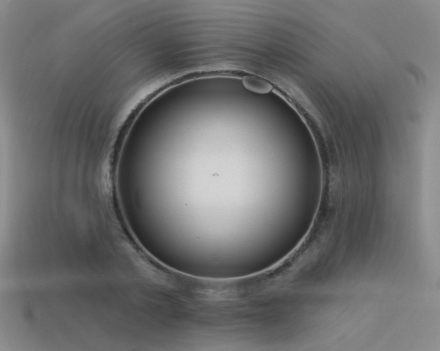 X0000113530789200909181134