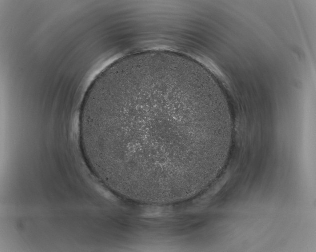 X0000113530790200909181134