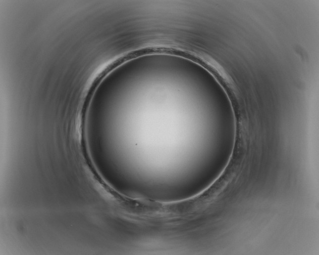 X0000113530791200909181134