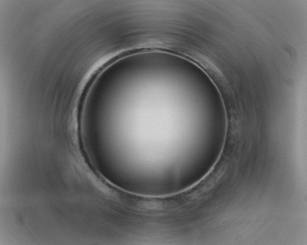 X0000113530792200909181134