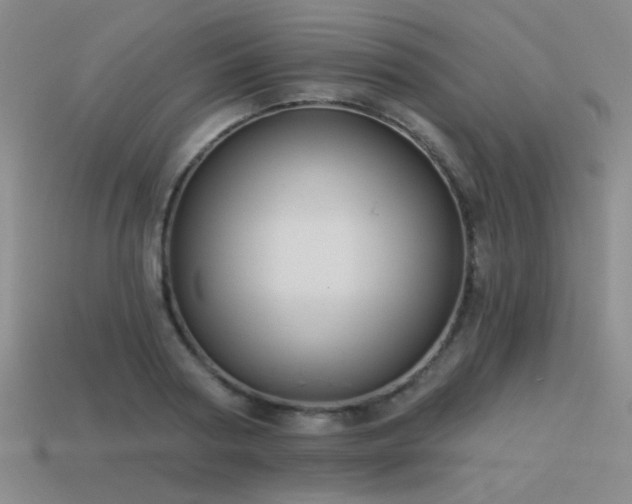 X0000113530794200909181134