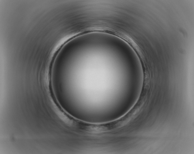 X0000113530795200909181134