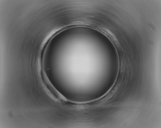 X0000113530796200909181134