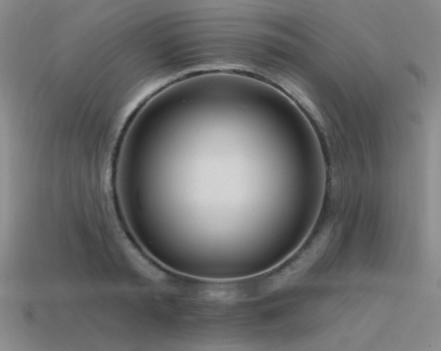 X0000113530797200909181134