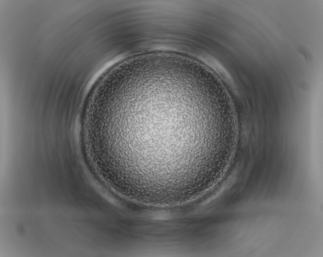 X0000113530798200909181134
