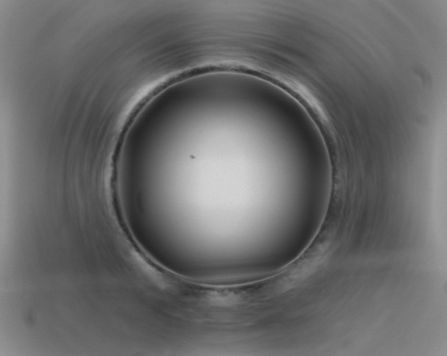 X0000113530799200909181134
