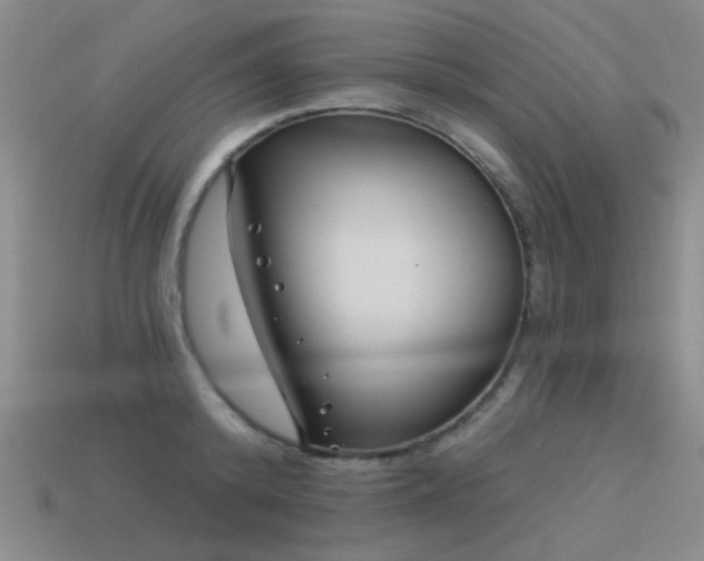 X0000113530800200909181134