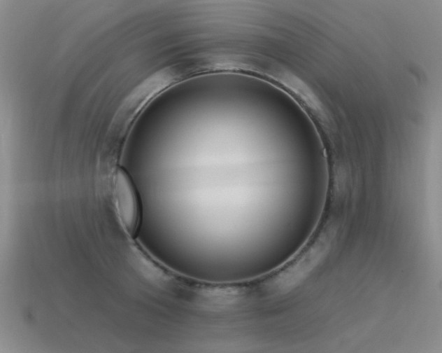 X0000113530801200909181134