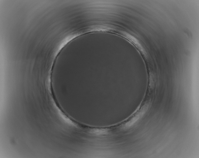 X0000113530802200909181134