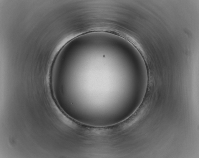 X0000113530803200909181134