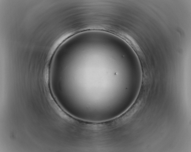 X0000113530804200909181134