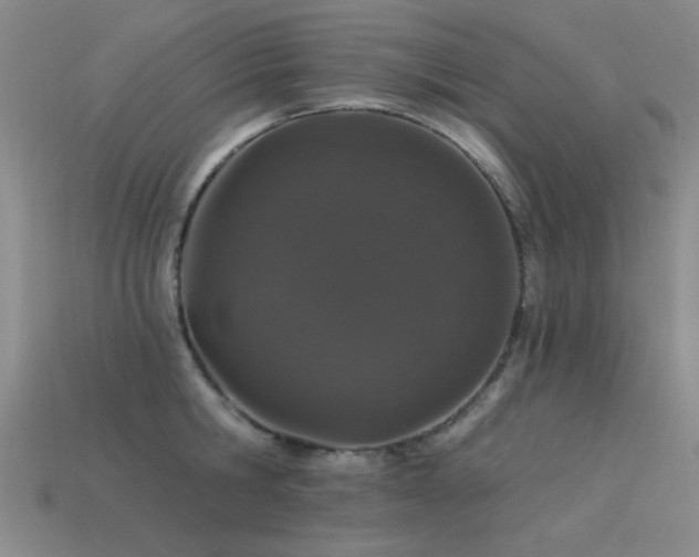 X0000113530806200909181134
