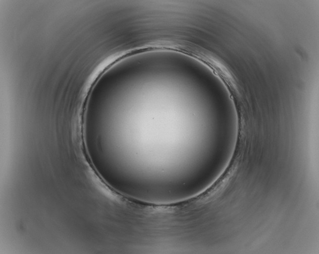 X0000113530808200909181133