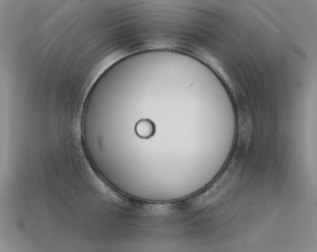 X0000113530810200909181133