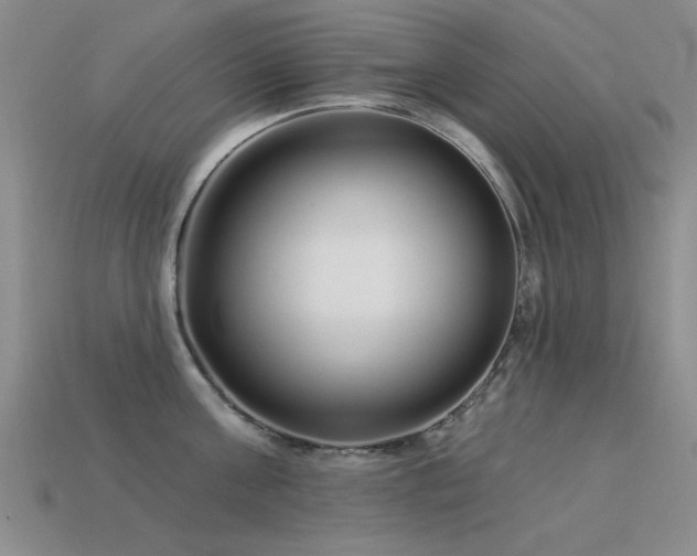 X0000113530811200909181133