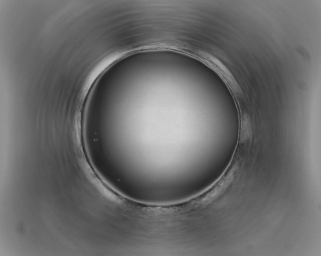 X0000113530812200909181133