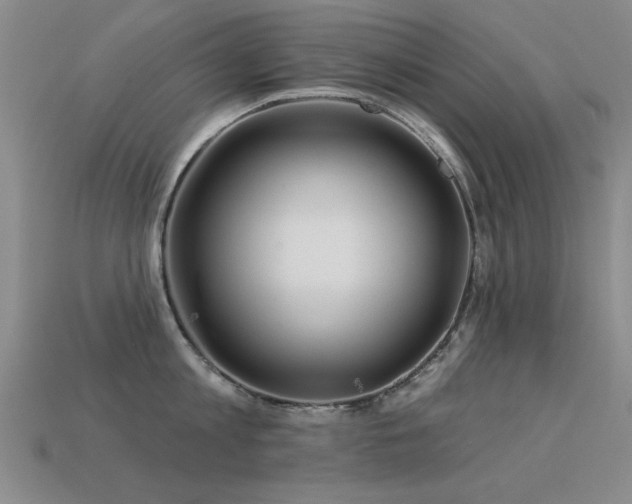 X0000113530813200909181133