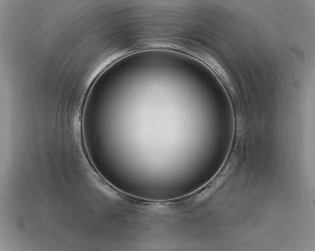 X0000113530814200909181133