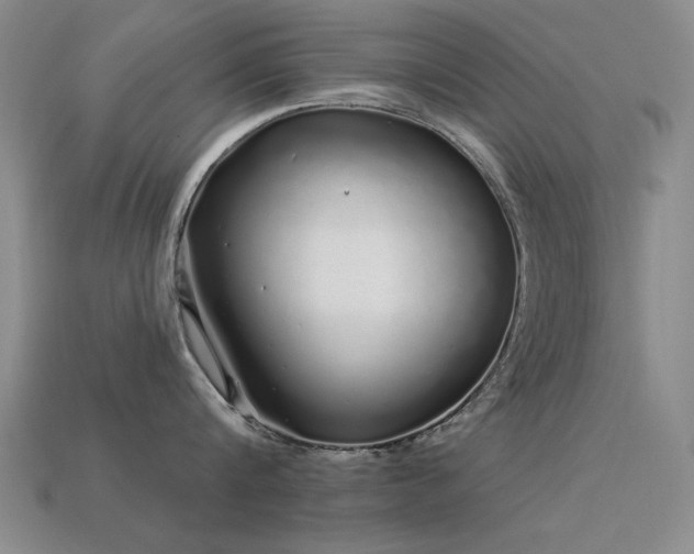 X0000113530816200909181133