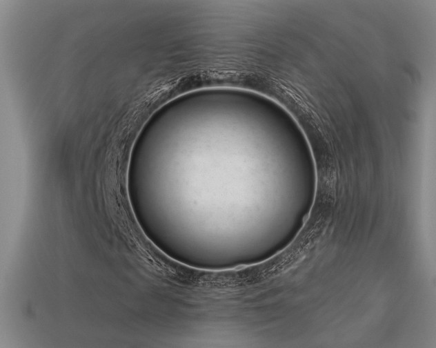 X0000113530817200909181133