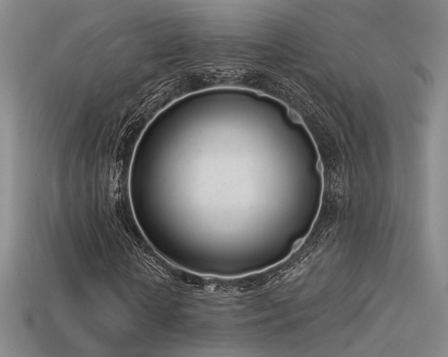 X0000113530818200909181133